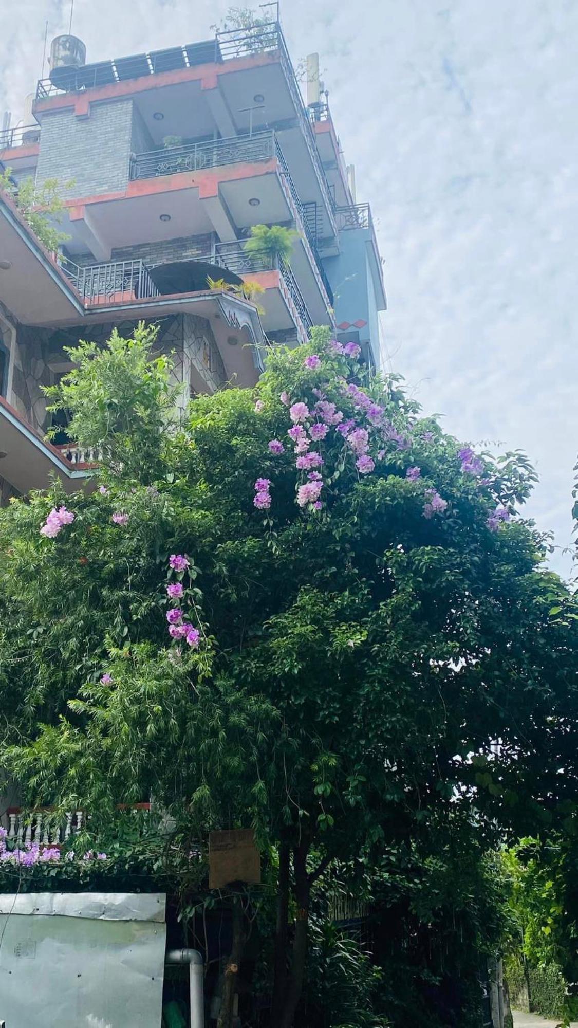 Hotel River Park Ποκάρα Εξωτερικό φωτογραφία